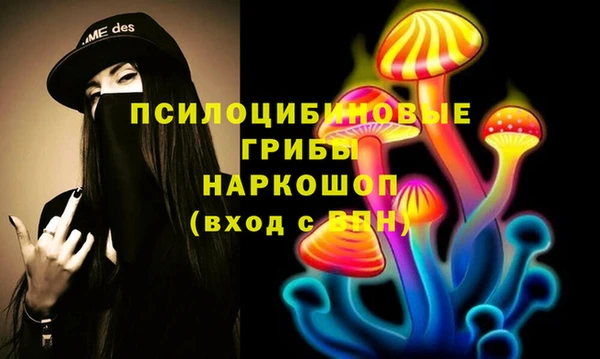крисы Козловка