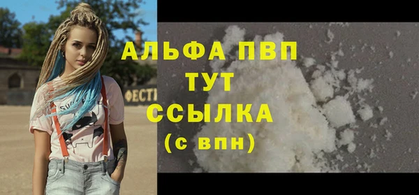 стаф Кодинск
