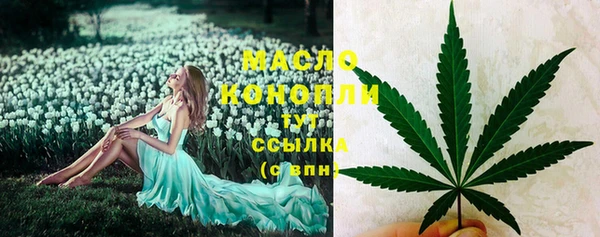 стаф Кодинск