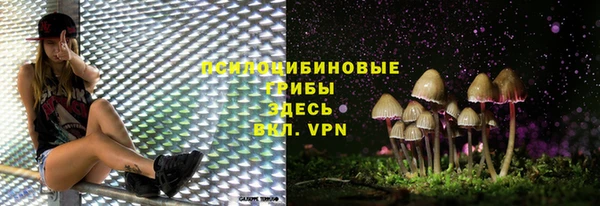 крисы Козловка