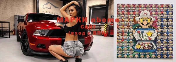 стаф Кодинск