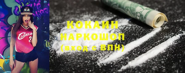 стаф Кодинск