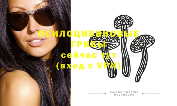 стаф Кодинск