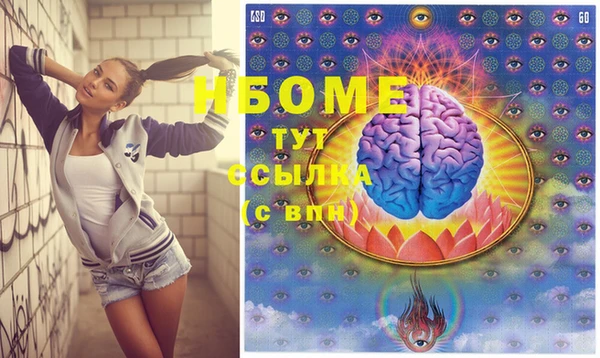 стаф Кодинск