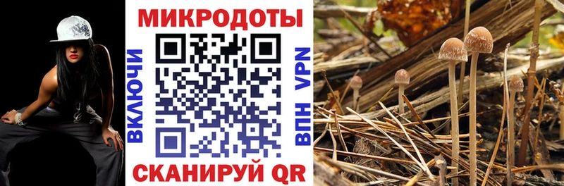 Галлюциногенные грибы MAGIC MUSHROOMS  Купить  Губкинский 